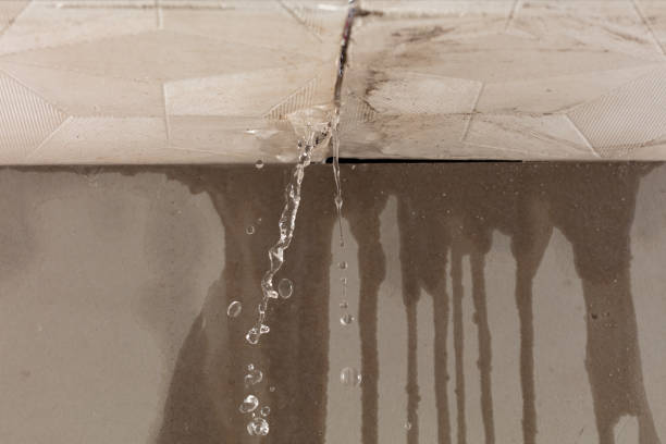 Professional Burst Pipe Cleanup technician working in Hillside, IL